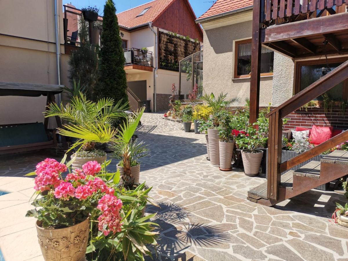 Apartmany Aranka Жатец Экстерьер фото