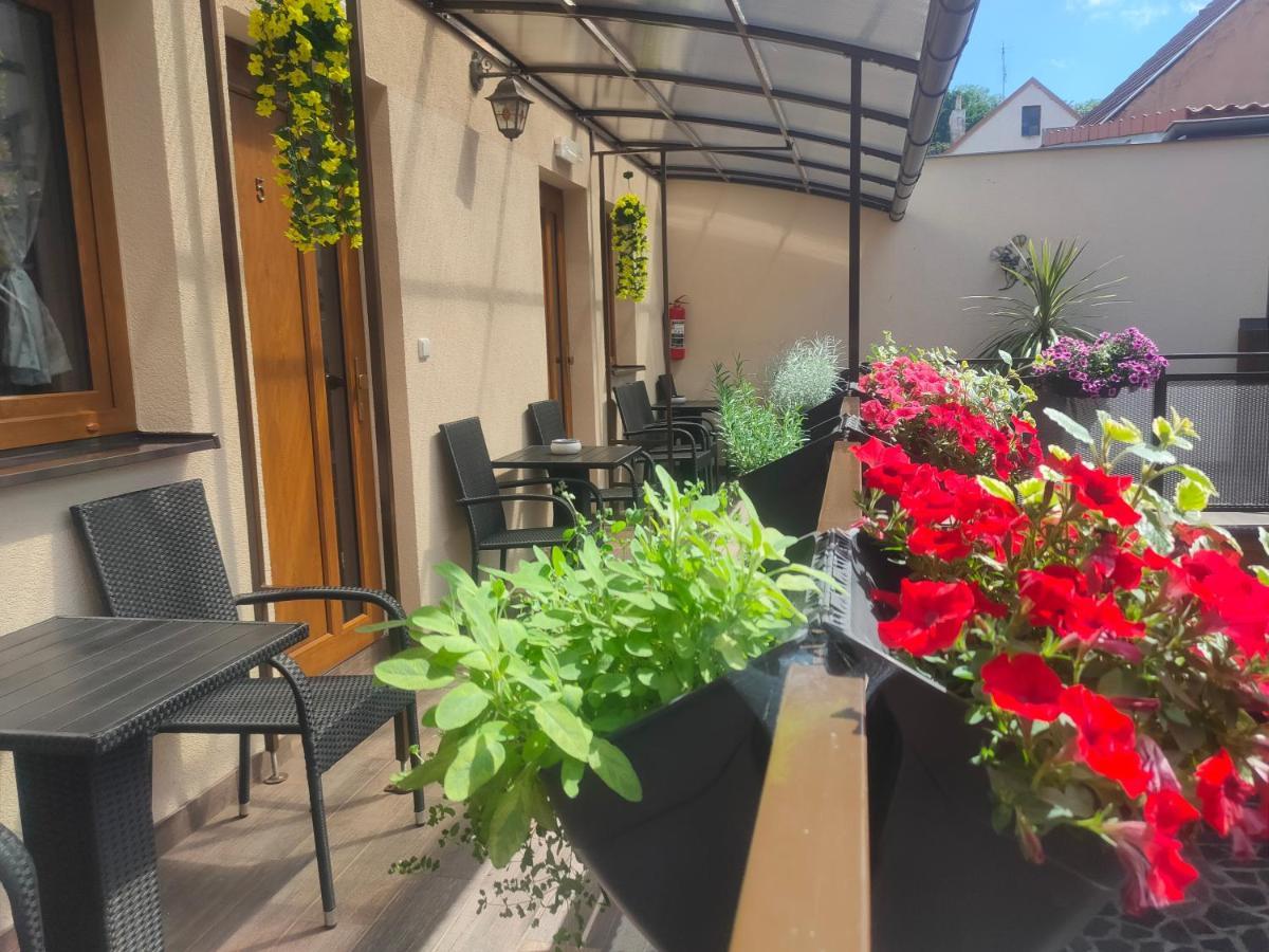 Apartmany Aranka Жатец Экстерьер фото
